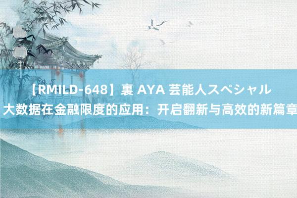 【RMILD-648】裏 AYA 芸能人スペシャル 大数据在金融限度的应用：开启翻新与高效的新篇章