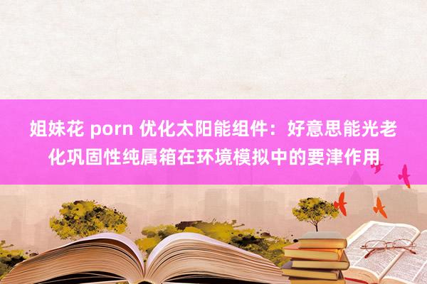 姐妹花 porn 优化太阳能组件：好意思能光老化巩固性纯属箱在环境模拟中的要津作用