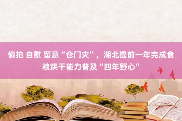 偷拍 自慰 留意“仓门灾”，湖北提前一年完成食粮烘干能力普及“四年野心”