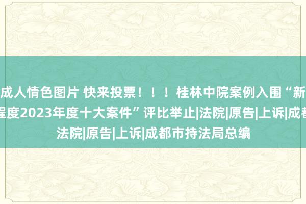 成人情色图片 快来投票！！！桂林中院案例入围“新期间鼓舞法治程度2023年度十大案件”评比举止|法院|原告|上诉|成都市持法局总编