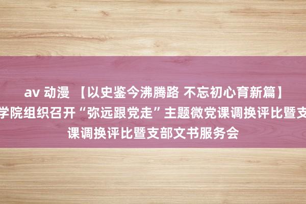 av 动漫 【以史鉴今沸腾路 不忘初心育新篇】采集空间安全学院组织召开“弥远跟党走”主题微党课调换评比暨支部文书服务会